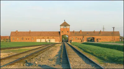 Quel était le nom des camps où les Tsiganes et Juifs sont amenés en Allemagne ?