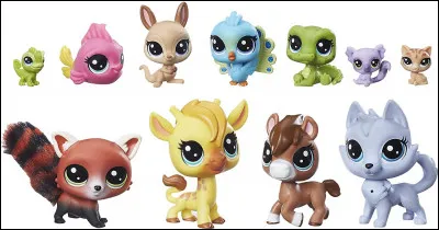 Quand je te dis pet shop, tu me dis...