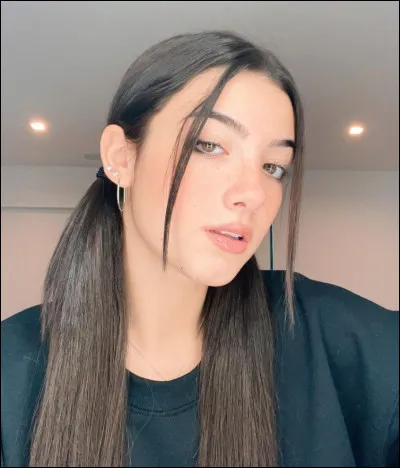 Quel &acirc;ge a Charli ?