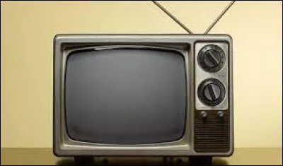 Quelle cha&icirc;ne de t&eacute;l&eacute;vision fut la premi&egrave;re &agrave; &ecirc;tre privatis&eacute;e en France ?