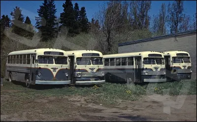 Grand du French cancan, c'est l'...