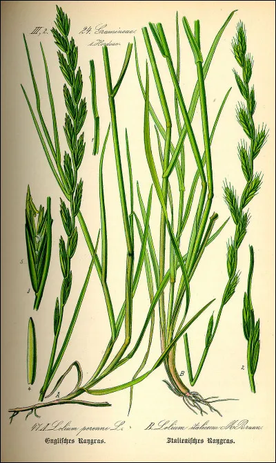 Cuite avec de l'alcool, c'est l'...