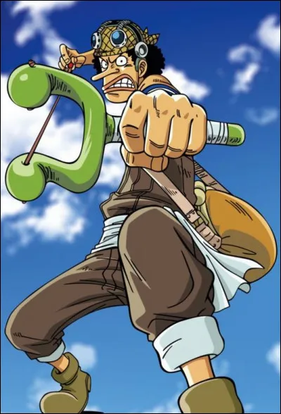 Comment s'appelle le village natal d'Usopp ?