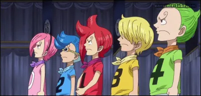 Qui sont les frères de Sanji ?