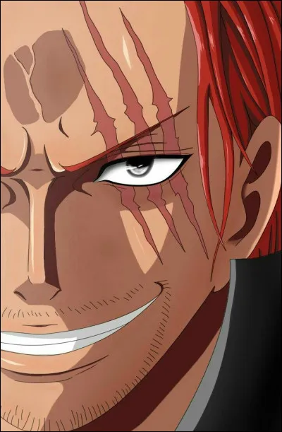 Vrai ou faux : Shanks a perdu son bras droit en sauvant la vie de Luffy.