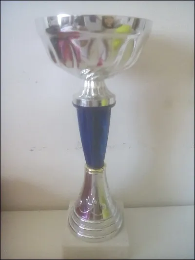 As-tu gagné des concours de dessin ?