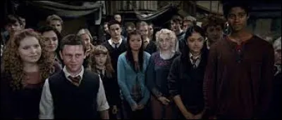 Lors de la septième année de Harry, ils vont à la chasse aux Horcruxes et 3 personnes prennent le relais de l'A.D pendant leur absence. Quelle personne ne fait pas partie des 3 leaders ?