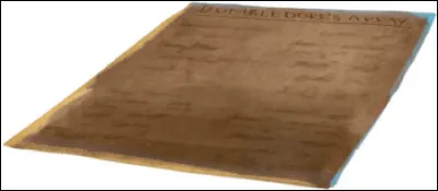 Quel est l'enchantement programmé par Hermione contre les personnes qui trahissent leur engagement à l'A.D ?