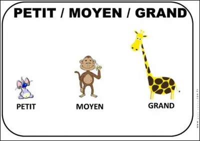 Es-tu grand ou petit ?