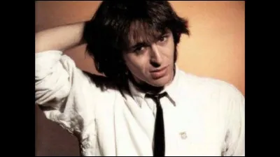 Cordonnier : "C'était un cordonnier, sans rien de particulier, dans un village dont le nom l'a échappé". Que faisait ce cordonnier dans la chanson de Jean-Jacques Goldman ?