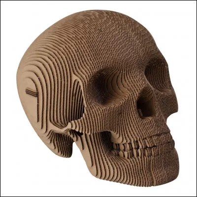 Ça y est, tu dois mourir... Comment voudrais-tu mourir ?