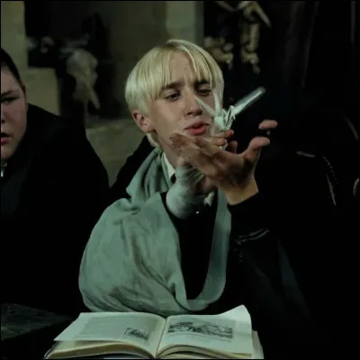 Dans quelle maison Drago Malefoy était-il ?