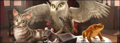 Quel est l'animal de Harry ?