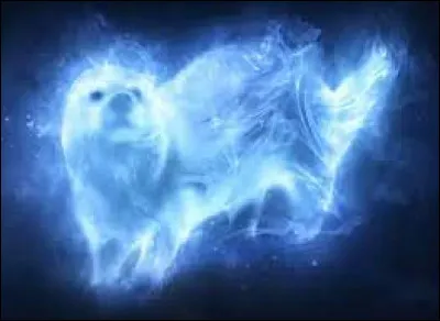 Quel est son Patronus ?