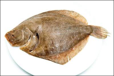 Quel est ce grand poisson carnivore, plat et rare, très recherché pour la finesse de sa chair.Sa peau est sans écaille mais avec des tubercules osseux ?