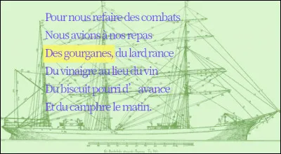 Que sont-ce ces "gourganes" ?