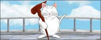 Qu'est-ce qu'est le maître Karin ?