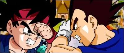 (Vegeta Junior) Dans le combat que l'on aperçoit à la fin de GT, qui gagne entre Vegeta Junior et Son Gokū Junior ?