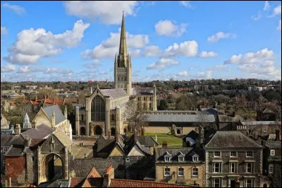 Il vous faut aller au Danemark, à Viborg, pour voir cette cathédrale :