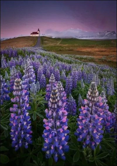 Complétez : 
"Ég veit ekki hvar hún æskunni..."