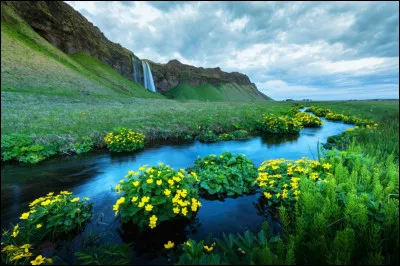 Complétez : 
"Eða hvar hófst hennar..."