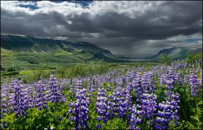 Complétez : 
"Þungt var yfir..."