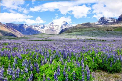 Complétez : 
"Myrkur að vori á..."