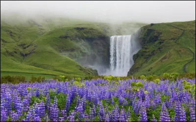 Complétez : 
"Fyrst voru sporin öll..."
