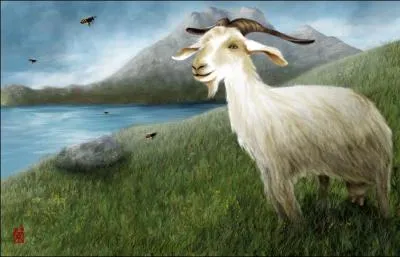 Amalthe est parfois prsente comme une chvre qui nourrit Zeus dans son enfance grce  ses cornes, desquelles coulaient du nectar et de l'ambroisie. C'est de l que vient l'expression :