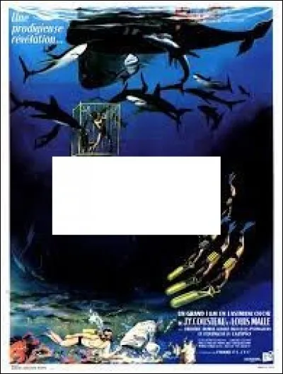 À quel film appartient cette affiche ?