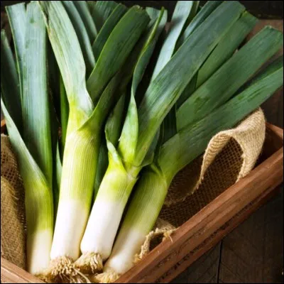 Quel tarte typique de Belgique et du nord de la France est surtout connu pour sa version aux poireaux ?