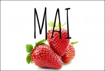 Dans quelle saison se trouve le mois de mai ?