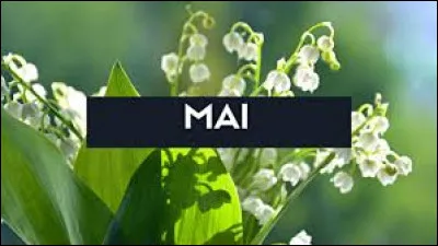 Quelle fleur associe-t-on au 1er mai ?
