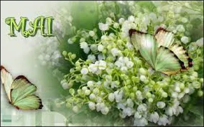 Que s'est-il passé le 8 mai 1945 en France ?