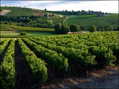 De quel département vient le gaillac ?