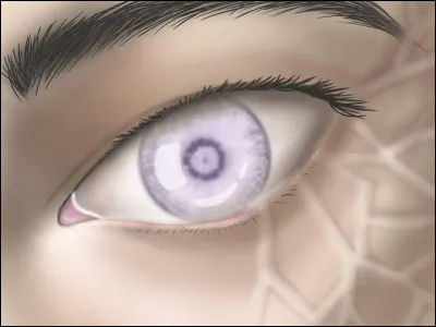 Comment s'appelle ce dojutsu ?