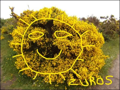 Depuis quelques années, un des nouveaux traitements proposés à des patients avec métastases est...