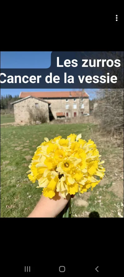 L'un des symptômes possible du cancer de la vessie est...