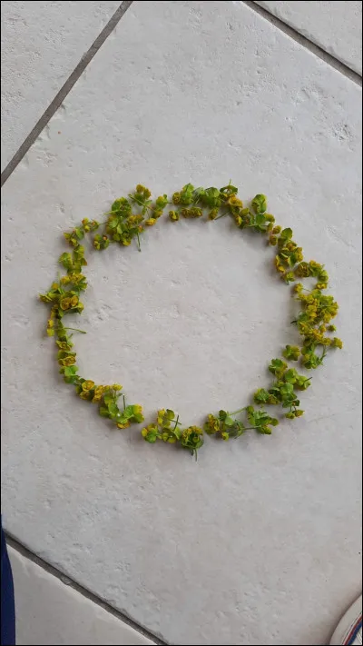 Si je constate du sang dans mes urines une seule fois...