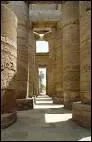 Dans de nombreux temples gyptiens, aprs l'entre et la premire cour, se trouvait une grande salle dont le plafond tait soutenu par d'normes colonnes. Cette salle est une salle :