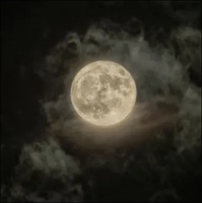 "Lay my head down in the darkness
Like so many nights before this"
À qui appartiennent ces paroles ?