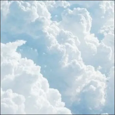 "J'ai toujours confondu la vie avec des bandes dessinées
J'ai comme des envies de métamorphose"
À qui appartiennent ces paroles ?