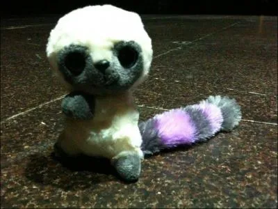 Comment s'appelle la mascotte de Maeva Meline ?