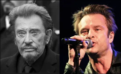Quel est le patronyme de ces deux artistes, Johnny le père et David le fils ?