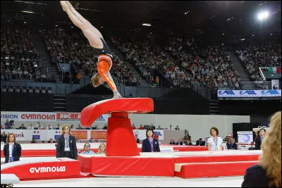 Quel est cet agrès ?