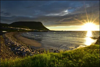 Complétez : 
"Fuglarnir syngja og fljótið er..."
