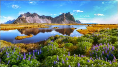 Complétez : 
"Eygði skóg og svartan..."