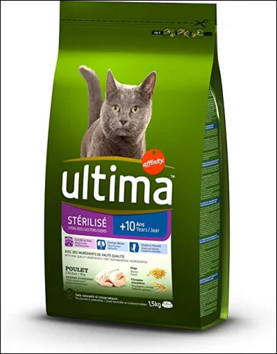 Quelle est la meilleure alimentation pour un chaton maine coon ?