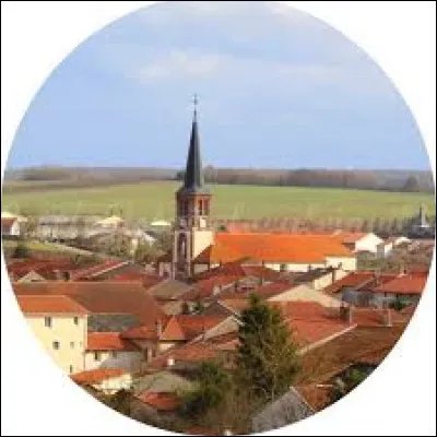 Je vous emmène dans le Grand-Est à quelques kilomètres de Lunéville, à la découverte d'Einville-au-Jard. Village du Grand-Est traversé par le Sânon et le canal de la Marne au Rhin, connu notamment pour ses salines, il se situe dans le département ...