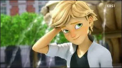 De qui est amoureuse Marinette ?